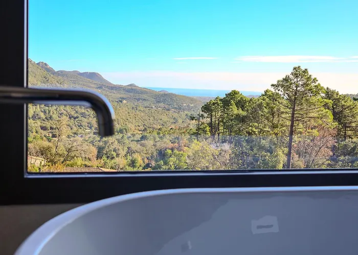 Aberia Di Santa Lucia